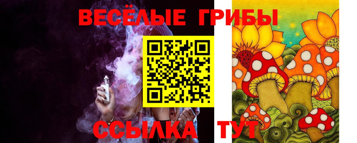 Псилоцибиновые грибы Psilocybe Александров