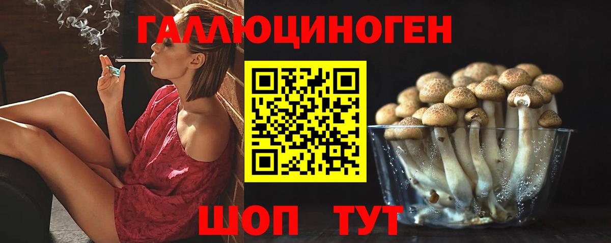 где можно купить наркотик  Вход с VPN  Александров  Псилоцибиновые грибы Psilocybe 
